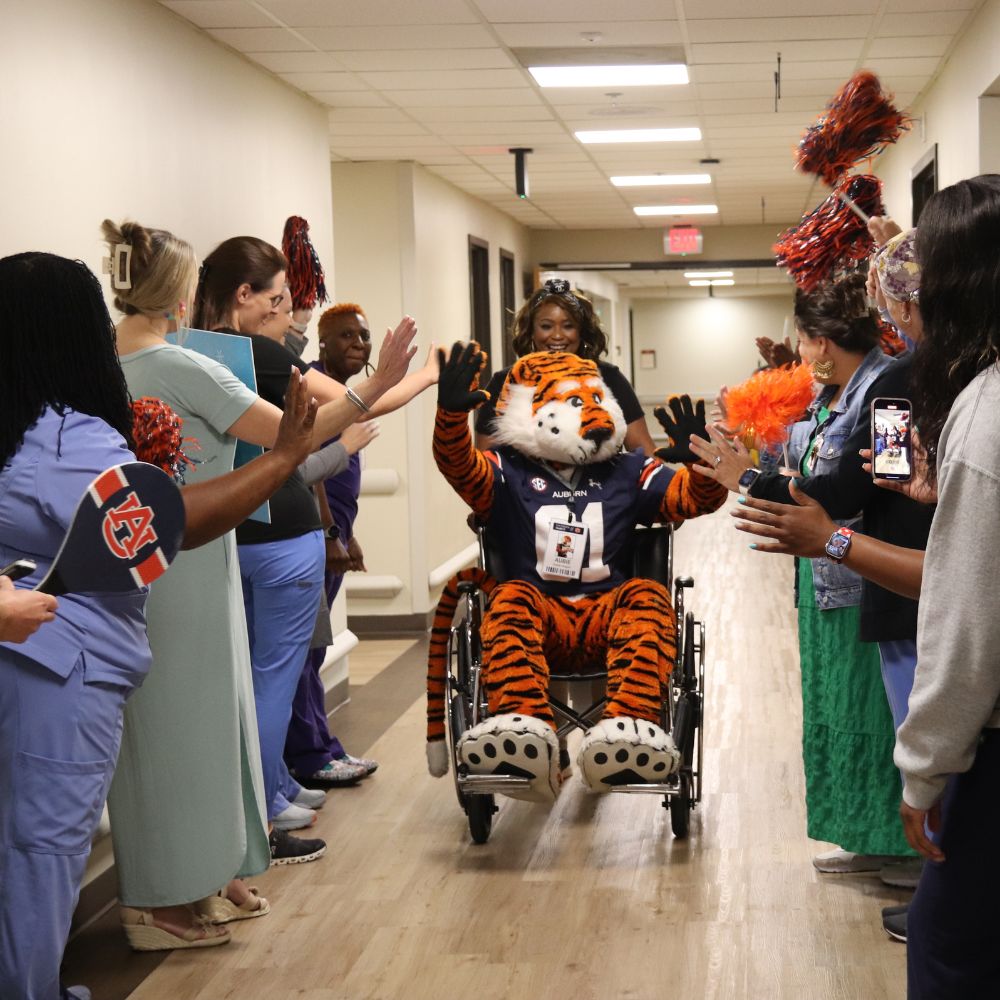 Aubie "rollin" through the halls at East Alabama Medical Center.