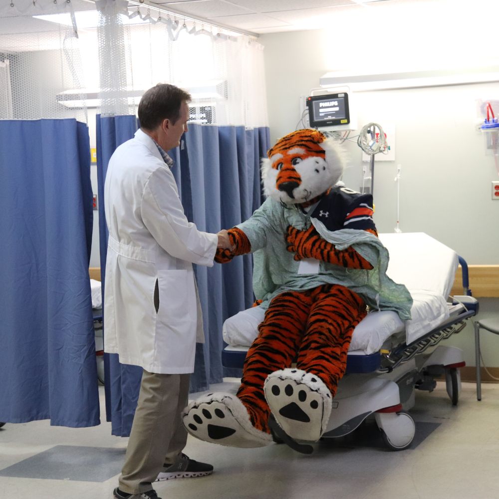 Dr. Alan Moore, a physician in East Alabama Medical Center's Emergency Department,  gave Aubie a quick checkup during his visit.